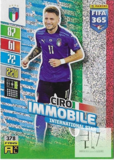 F.22 International Star - Immobile