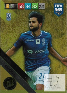 F.19 Limited Edition - Amaral