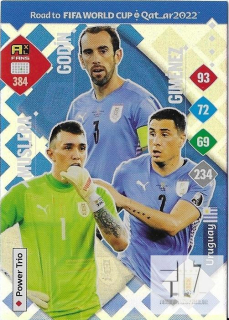 RW.C.22 Power Trio - Muslera / Godin / Gimenez