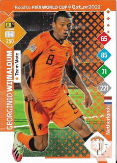 RW.C.22 Team Mate - Wijnaldum