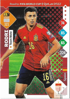 RW.C.22 Team Mate - Rodri