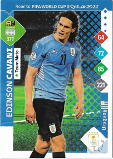 RW.C.22 Team Mate - Cavani