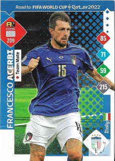 RW.C.22 Team Mate - Acerbi