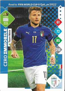 RW.C.22 Team Mate - Immobile