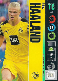 TC.22 Team Mate - Haaland