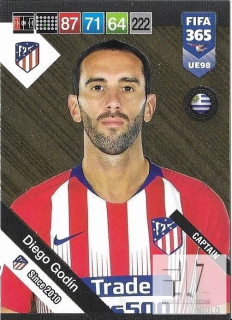 F.19UE Captain - Godin